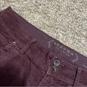 burgundy modern straight legged pants